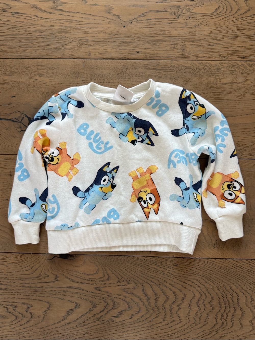 Bluey & Bingo Toddler Sweatshirt 18M Allover Print Pullover
